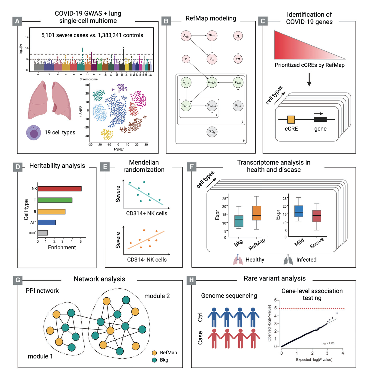 Multiomic Analysis Reveals Cell Type Specific Molecular Determinants Of