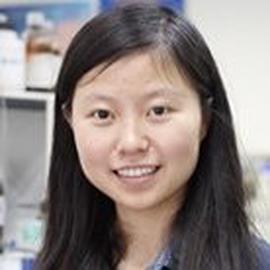 Dr. Songjie Chen