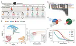 Longitudinal profiling of the microbiome at four body sites reveals core stability and individualized dynamics during health and disease