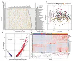 Longitudinal Urine Metabolic Profiling and Gestational Age Prediction in Pregnancy