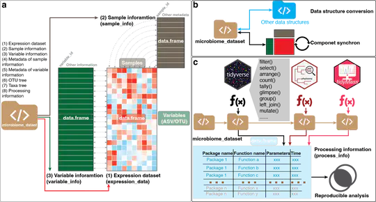 microbiomedataset A tidyverse-style framework for organizing and processing microbiome data